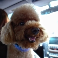 Kirby.2013.01.12-004.JPG