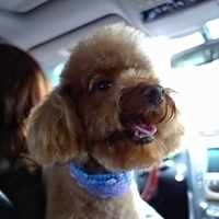 Kirby.2013.01.12-005.JPG