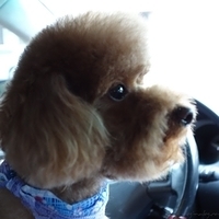 Kirby.2013.01.12-007.JPG