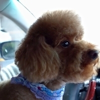 Kirby.2013.01.12-008.JPG