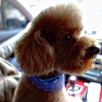 Kirby.2013.01.12-010.JPG