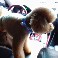 Kirby.2013.01.12-011.JPG