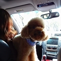 Kirby.2013.01.12-013.JPG