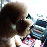 Kirby.2013.01.12-015.JPG