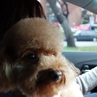 Kirby.2013.01.12-018.JPG