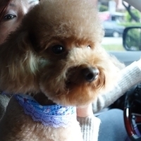 Kirby.2013.01.12-019.JPG
