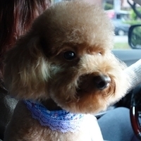 Kirby.2013.01.12-020.JPG