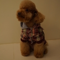Kirby.2013.01.12-021.JPG