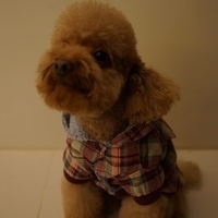 Kirby.2013.01.12-022.JPG