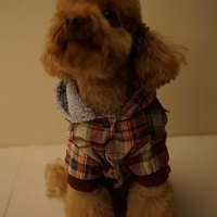 Kirby.2013.01.12-024.JPG