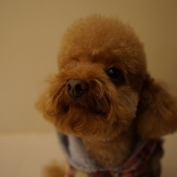 Kirby.2013.01.12-025.JPG