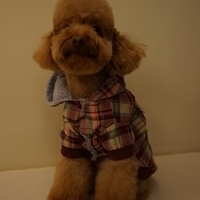 Kirby.2013.01.12-026.JPG