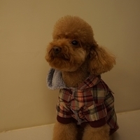 Kirby.2013.01.12-027.JPG