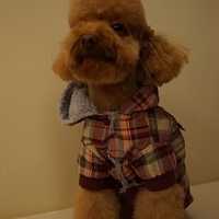 Kirby.2013.01.12-028.JPG