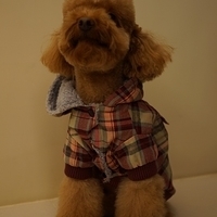 Kirby.2013.01.12-029.JPG