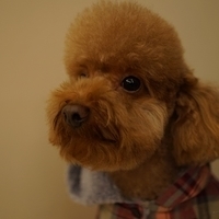 Kirby.2013.01.12-030.JPG