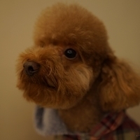 Kirby.2013.01.12-031.JPG
