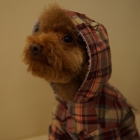 Kirby.2013.01.12-032.JPG