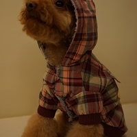 Kirby.2013.01.12-034.JPG