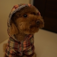 Kirby.2013.01.12-035.JPG
