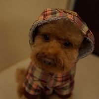 Kirby.2013.01.12-038.JPG
