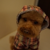 Kirby.2013.01.12-039.JPG