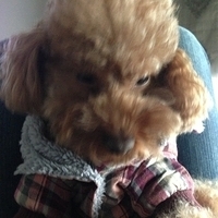 Kirby.2013.01.16-001.JPG