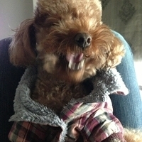 Kirby.2013.01.16-002.JPG