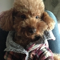 Kirby.2013.01.16-003.JPG