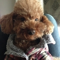 Kirby.2013.01.16-004.JPG