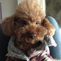 Kirby.2013.01.16-005.JPG