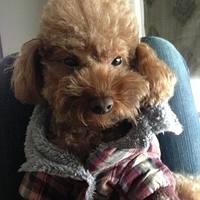 Kirby.2013.01.16-006.JPG