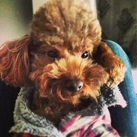Kirby.2013.01.16-007.JPG