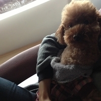 Kirby.2013.01.16-008.JPG