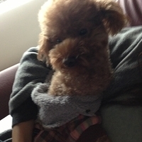 Kirby.2013.01.16-009.JPG
