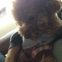Kirby.2013.01.16-010.JPG