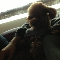 Kirby.2013.01.16-011.JPG