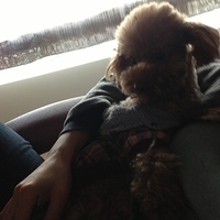 Kirby.2013.01.16-012.JPG