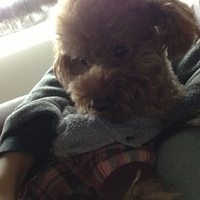 Kirby.2013.01.16-013.JPG