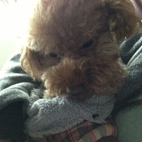 Kirby.2013.01.16-014.JPG