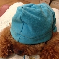 Kirby.2013.01.24-001.JPG