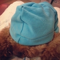 Kirby.2013.01.24-002.JPG