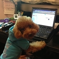 Kirby.2013.01.28-001.JPG