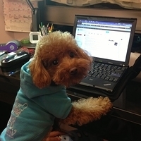 Kirby.2013.01.28-002.JPG