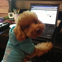 Kirby.2013.01.28-003.JPG
