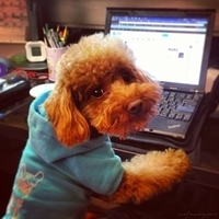 Kirby.2013.01.28-004.JPG