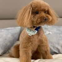 Kirby.2020.01.01-002