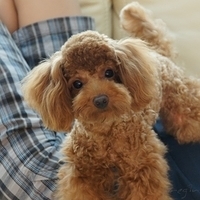 Kirby.2011.07.18-001.JPG