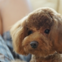 Kirby.2011.07.18-002.JPG