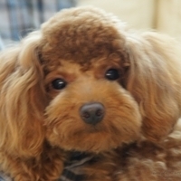 Kirby.2011.07.18-004.JPG